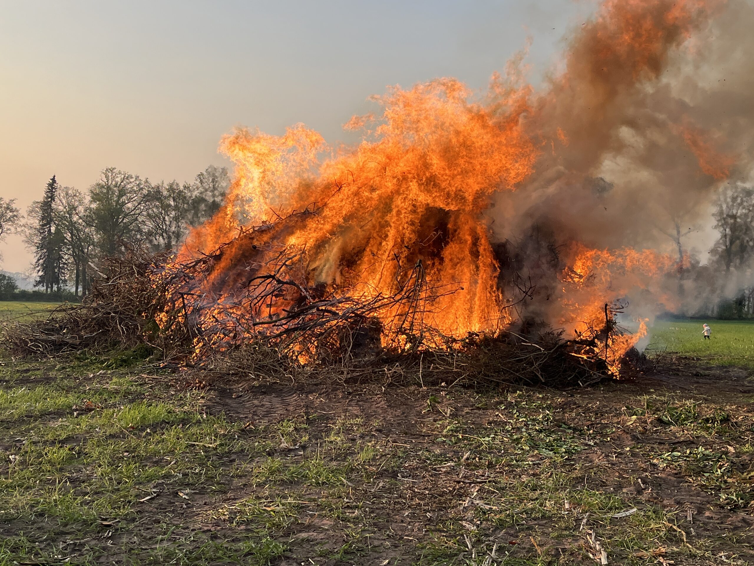 Viele Fackeln entzünden das Osterfeuer